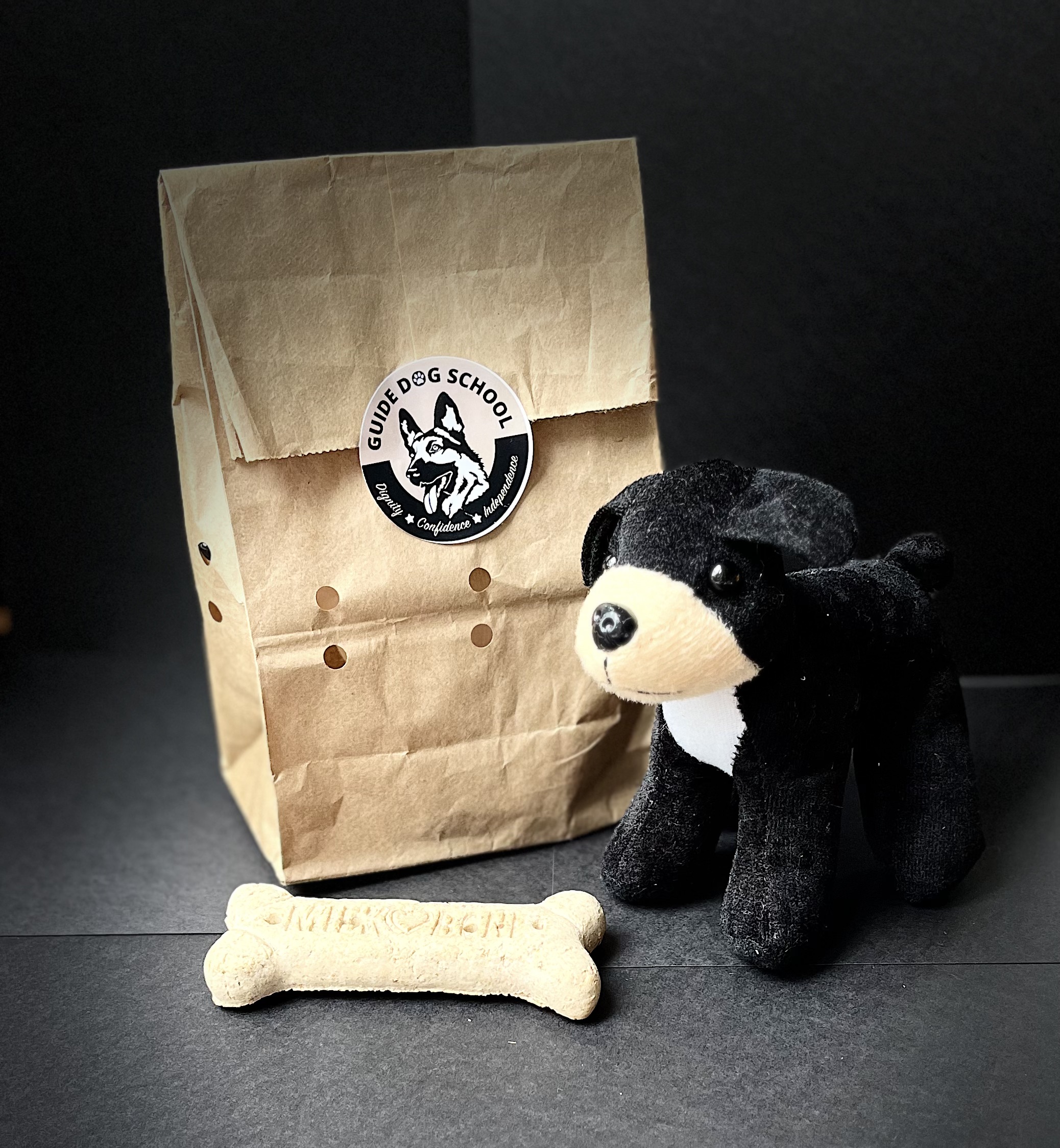 Getting a guide dog while blindfolded, having another describe it to you, and then renamiing it - like Jimmy did in FOLLOW MY LEADER by James B. Garfield.