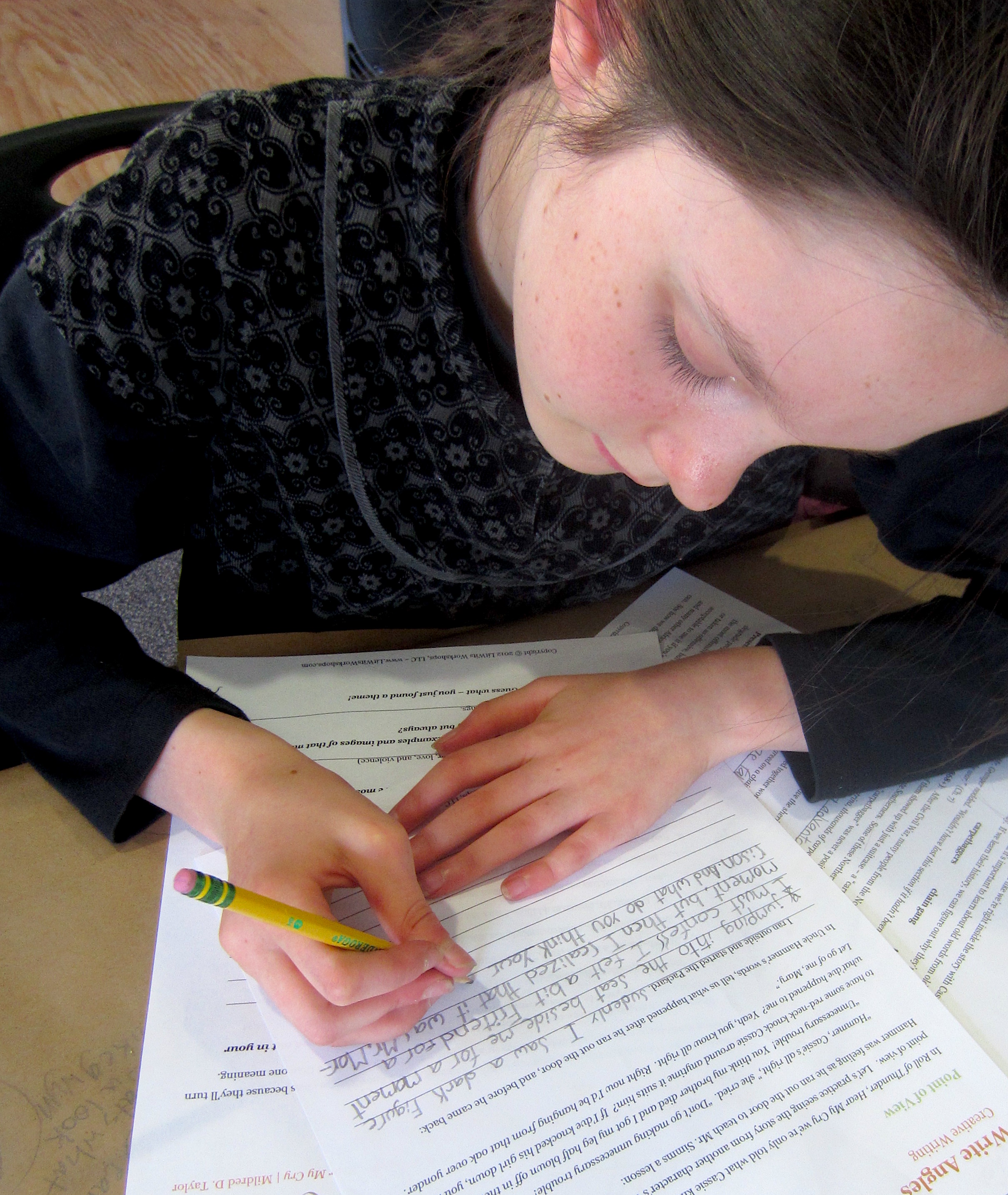 FREEDOM TRAIN: THE STORY OF HARRIET TUBMAN by Dorothy Sterling - LitWits Workshops - worksheets and activity printables