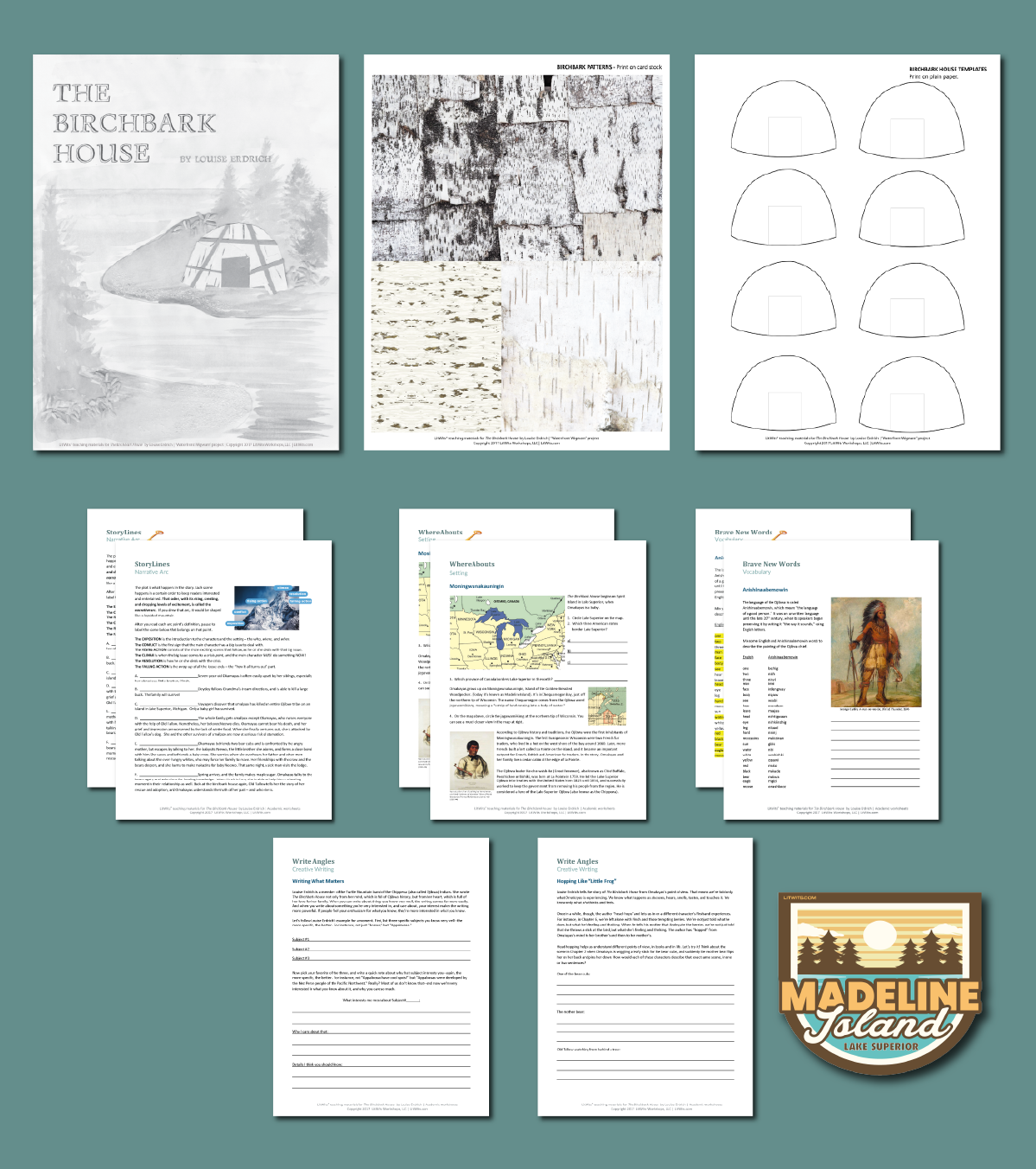 Preview of the LitWits Printables Set for THE BIRCHBARK HOUSE by Louise Erdrich