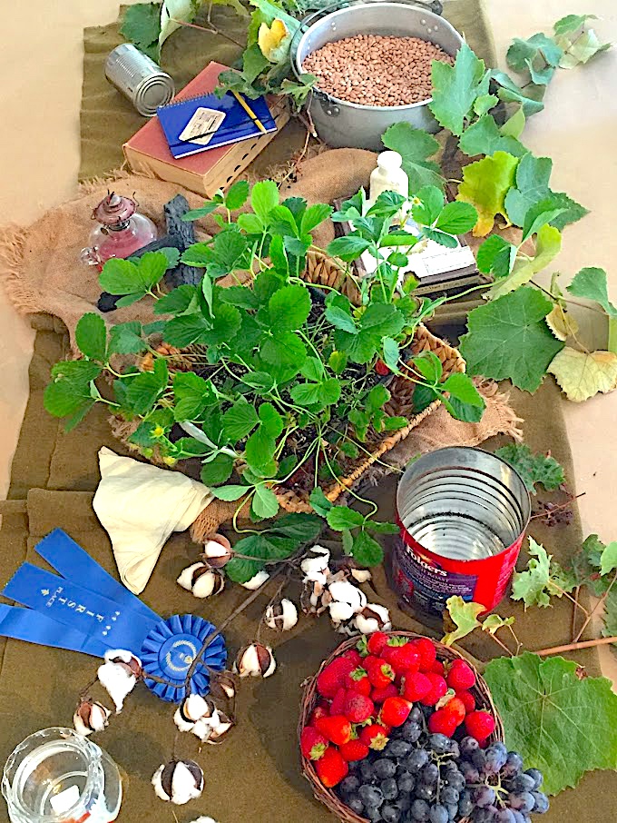 Sensory story props from THE CIRCUIT by Francisco Jiménez  - LitWits Workshops creative activities projects and worksheets for teaching