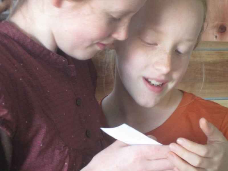 Creative activity idea for teaching ROLL OF THUNDER, HEAR MY CRY by Mildred D. Taylor - LitWits Workshops