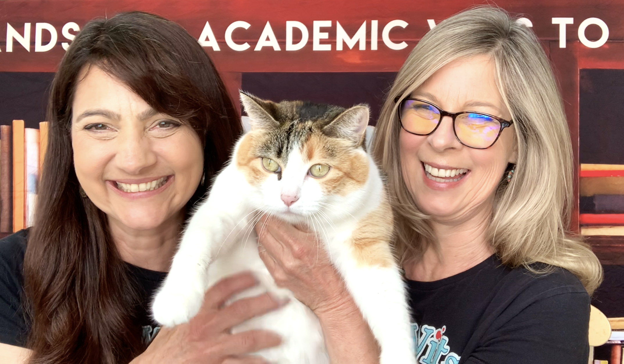 Online video course on TREASURE ISLAND by Robert Louis Stevenson - LitWits Workshops