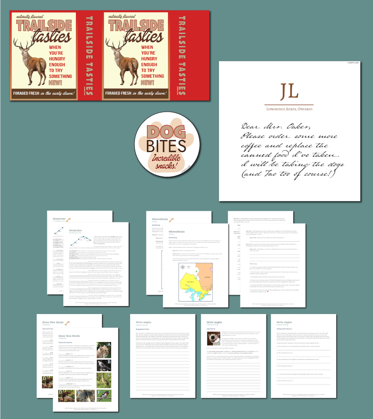 Preview of the LitWits Printables Set for THE INCREDIBLE JOURNEY by Sheila Burnford