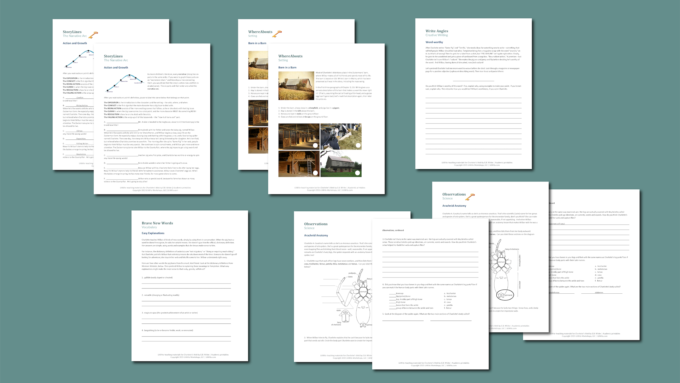 CHARLOTTE'S WEB by E.B. White - preview of printables set from LitWits Workshops, for use with our webpage of Creative Teaching Ideas 