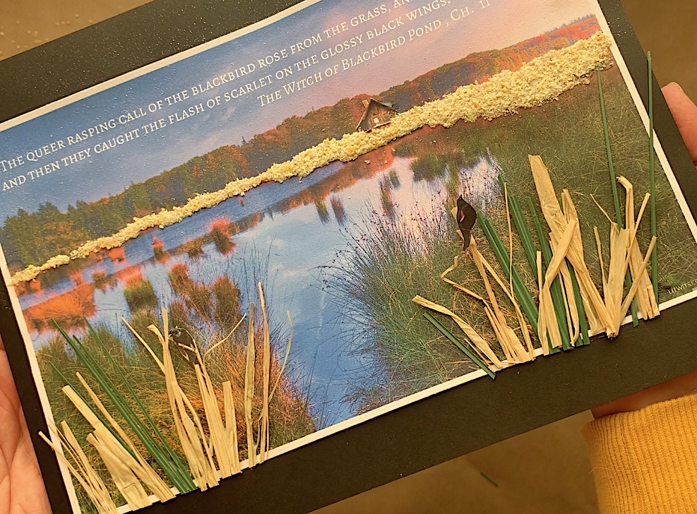 THE WITCH OF BLACKBIRD POND by Elizabeth George Speare - Hannah Tupper's meadow - LitWits Workshops