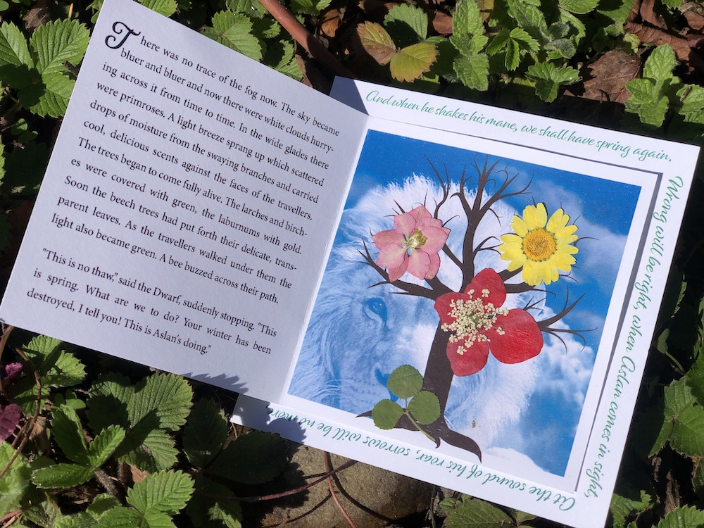 Fun reading activity for The Lion, the Witch, and the Wardrobe - Winter into Spring