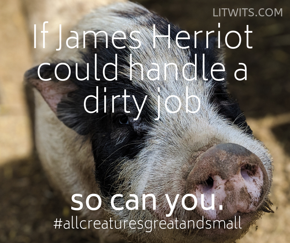 Accepting "what is" and "doing what must be done" can be joyful decisions!  Thank you James Herriot for these valuable lessons, and not just for kids. - LitWits Workshops