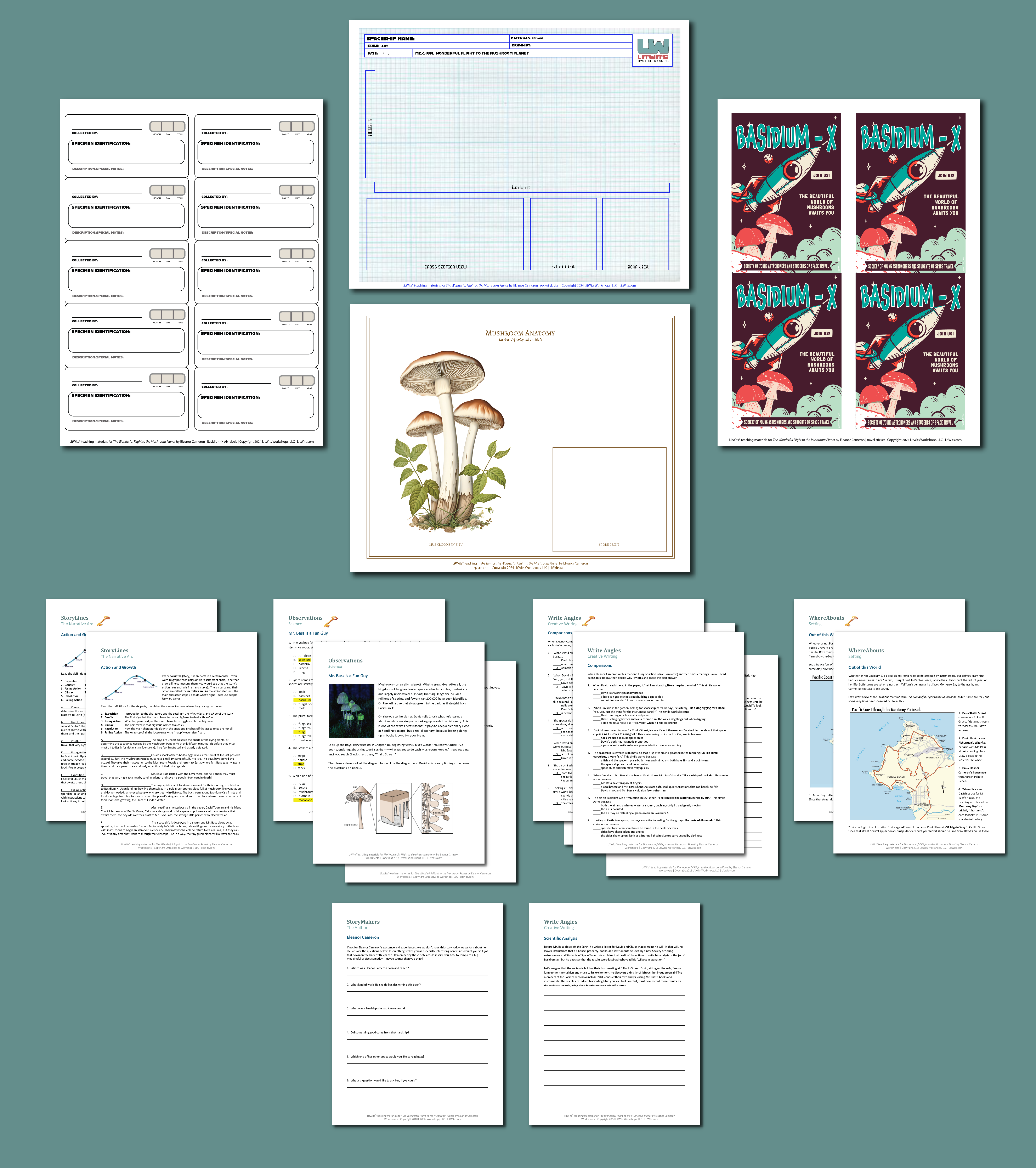 Preview of the LitWits Printables Set for THE WONDERFUL FLIGHT TO THE MUSHROOOM PLANET by Eleanor Cameron