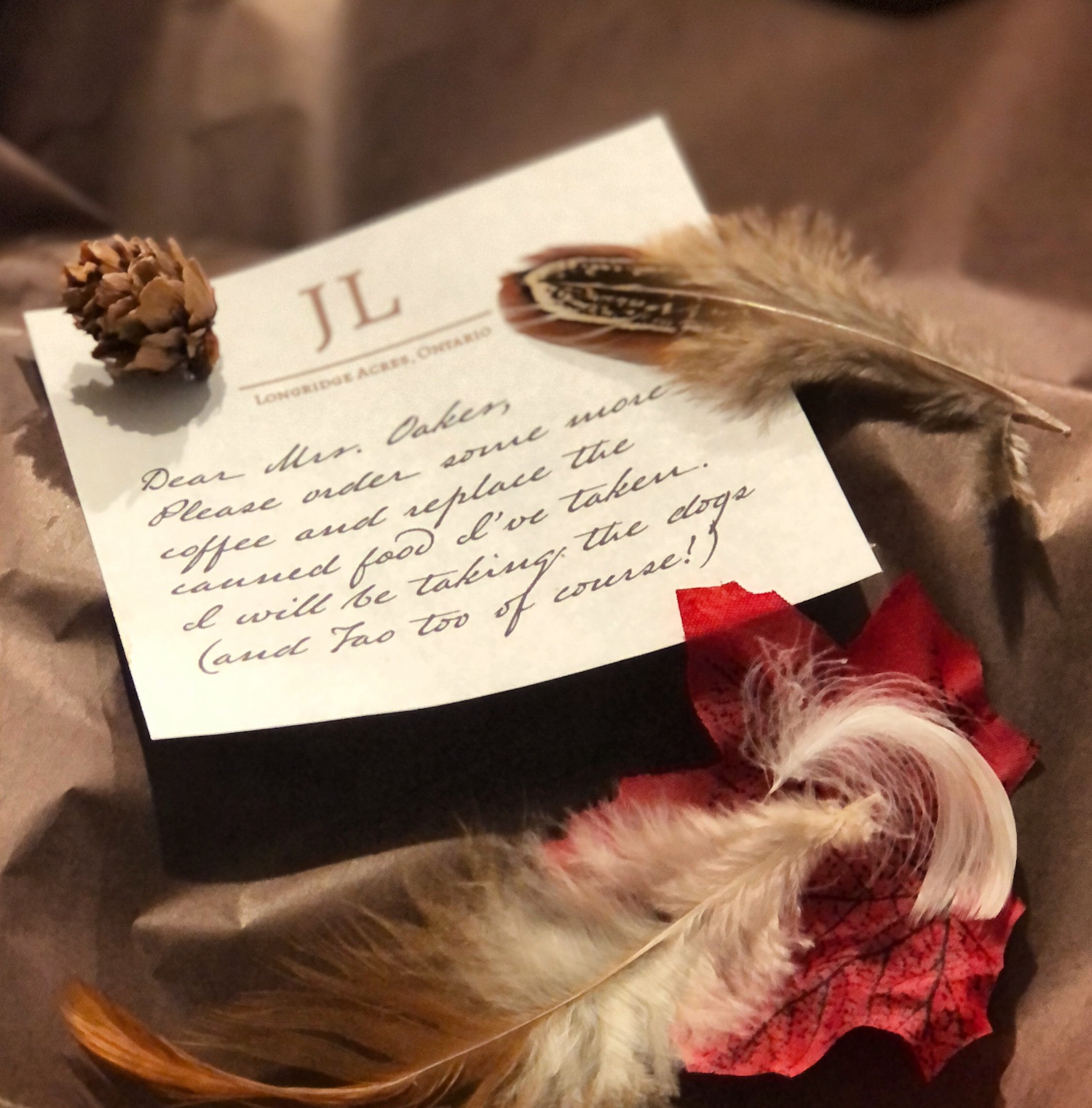 John Longridge's note - activity for teaching THE INCREDIBLE JOURNEY by Sheila Burnford - LitWits Workshops