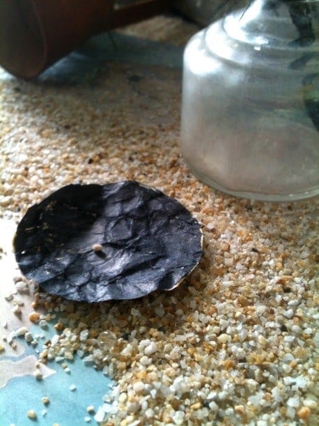 The black spot from TREASURE ISLAND - fun activity ideas - LitWits Workshops